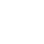 Icon Levels